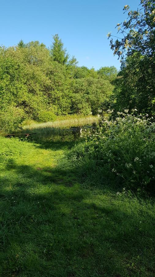 Basic Ingerichte Vouwwagen Op Camping Westenenk, Wijster Bagian luar foto